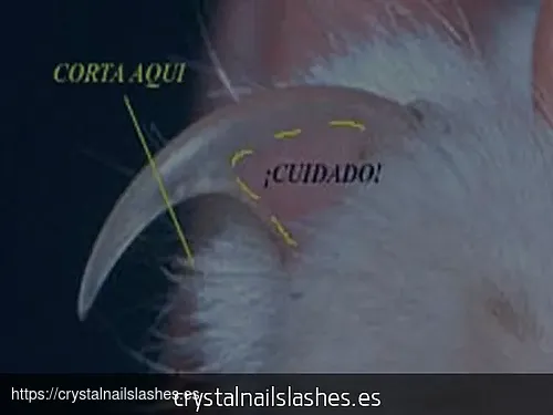 como cortar las uñas a un bebe que no se deja