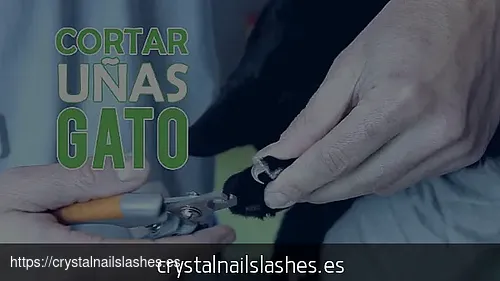 donde cortarle las uñas a mi perro
