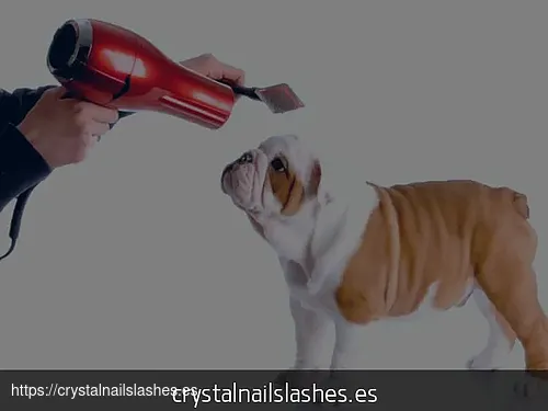 donde cortarle las uñas a mi perro