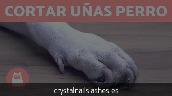 como cortar las uñas con alicate